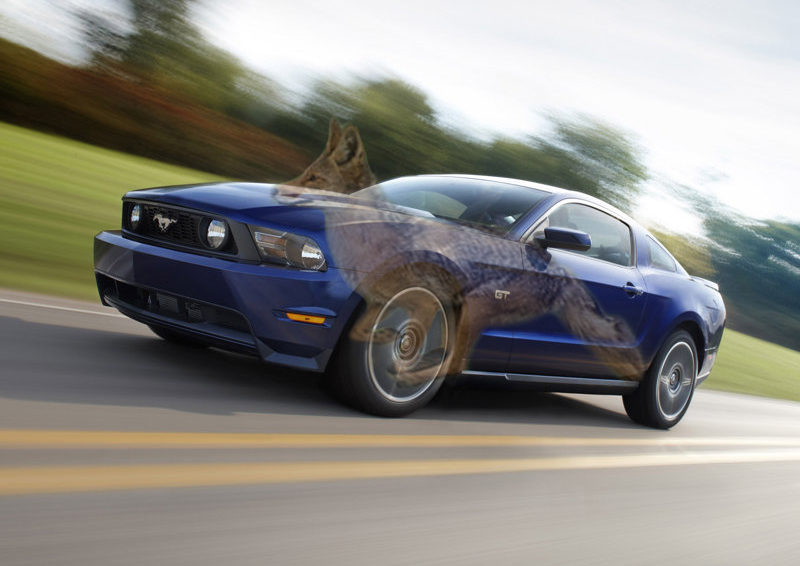ford mustang wallpaper 2010. 2011 Ford Mustang (among